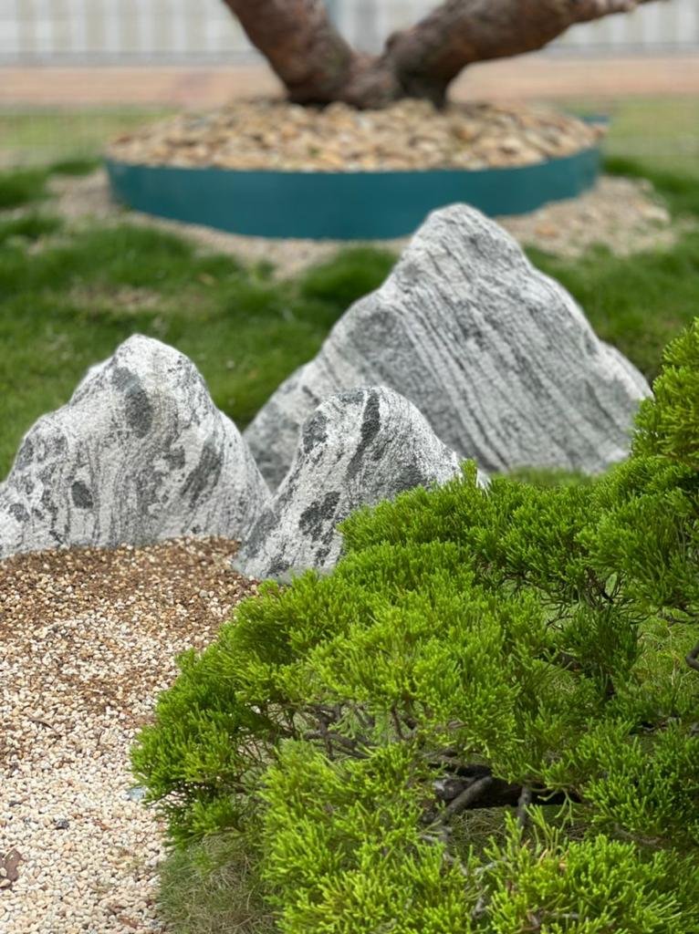 Snow Stone 5